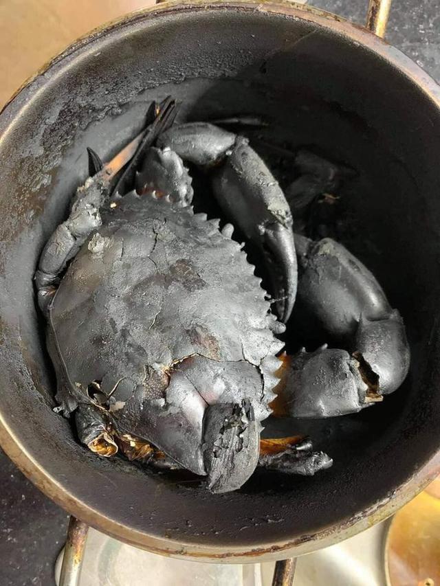 Bạn sẽ thấy mình nấu ăn còn ngon hơn đầy người sau khi xem những thảm họa này-2