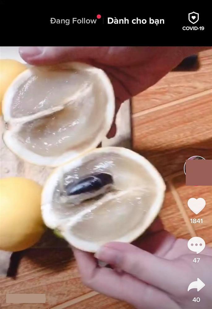 Cô gái khiến nhiều người không tin vào mắt khi gọi tên loại quả quen thuộc, nghe giá tiền còn choáng hơn-6