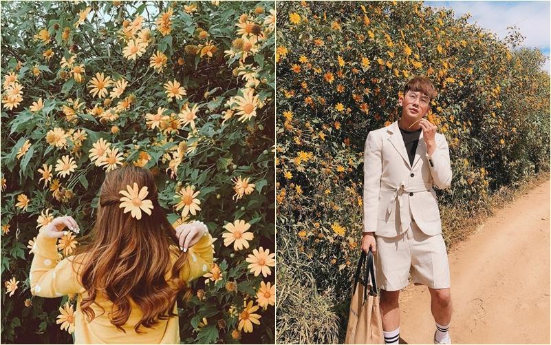Chỉ cần lạc bước giữa mùa hoa dã quỳ Đà Lạt, các chị em chẳng cần tạo dáng cũng ăn hình-2
