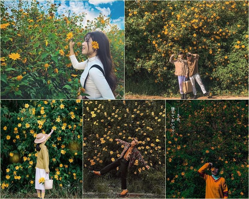 Chỉ cần lạc bước giữa mùa hoa dã quỳ Đà Lạt, các chị em chẳng cần tạo dáng cũng ăn hình-4