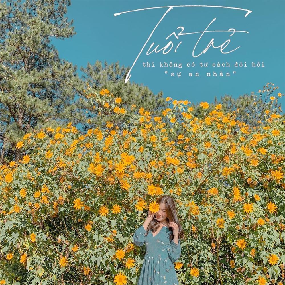 Chỉ cần lạc bước giữa mùa hoa dã quỳ Đà Lạt, các chị em chẳng cần tạo dáng cũng ăn hình-5