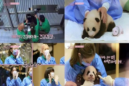 YG hủy chiếu show sau khi BlackPink bị chỉ trích