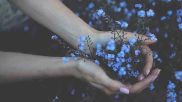 Tử vi Chủ nhật ngày 8/11/2020 của 12 con giáp: Hợi may mắn, Tuất tình duyên xuống dốc-3