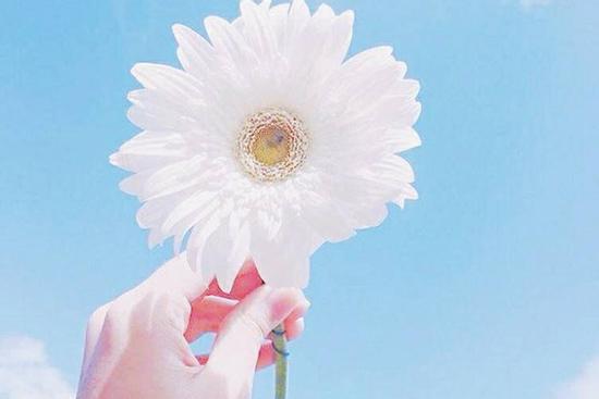 Tử vi Chủ nhật ngày 8/11/2020 của 12 con giáp: Hợi may mắn, Tuất tình duyên xuống dốc