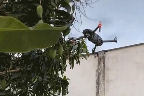 Du khách choáng ngợp ngắm Rồng thời Lý từ 2024 flycam trên bầu trời Hà Nội-1