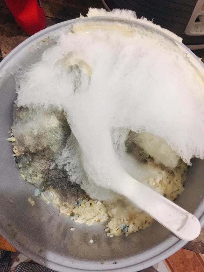 Vừa mở nồi cơm điện, cô nàng thất kinh vì vật thể lạ ngoi đầu lên-5