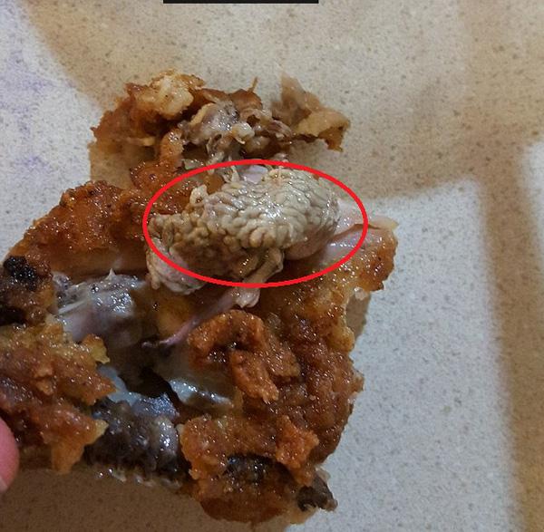 Quán bánh giò nổi tiếng Hà Nội khiếp vía vì vừa bốc mùi, vừa có ruồi trong nhân-5