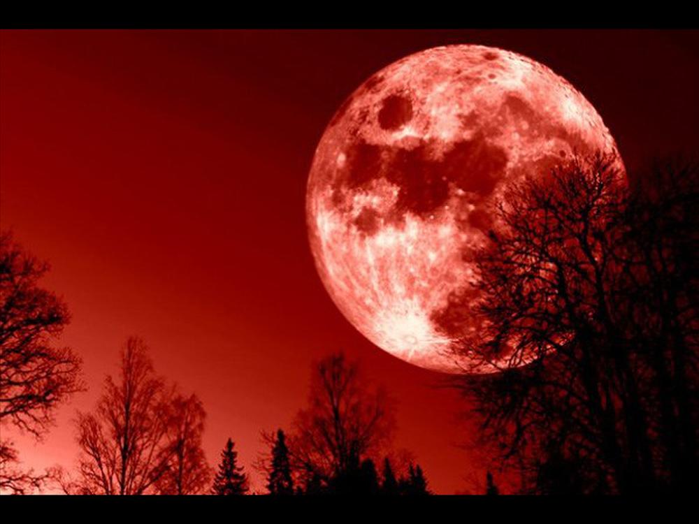 Loạt trọng án xảy ra trong ngày Nguyệt Kỵ, đó là ngày gì mà hãi hùng đến thế?-4