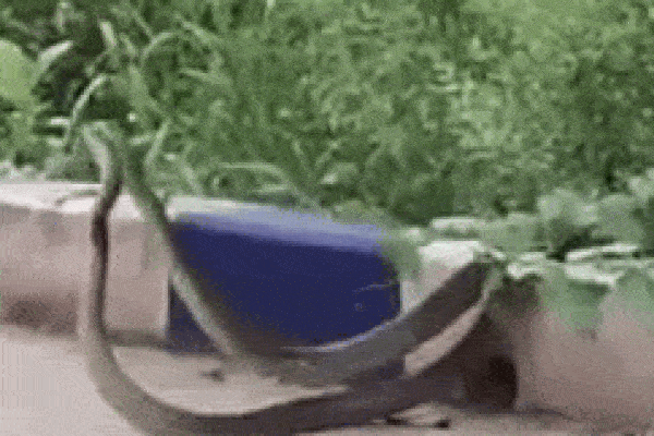 Mang xe đi sửa, cô gái ở Quảng Trị chết khiếp khi thấy cả họ bé na tránh lũ bên trong-6