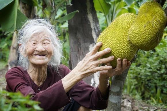 Bài văn miêu tả vườn nhà bà sử dụng toàn dấu huyền, ai đọc cũng bị đứng hình vài giây-3