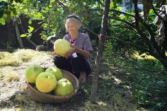 Bài văn miêu tả vườn nhà bà sử dụng toàn dấu huyền, ai đọc cũng bị đứng hình vài giây-5