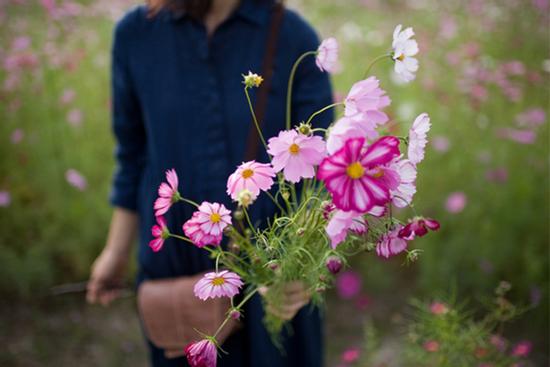 Tử vi thứ Ba ngày 10/11/2020 của 12 cung hoàng đạo: Bạch Dương tình yêu như ý, Song Tử vướng thị phi