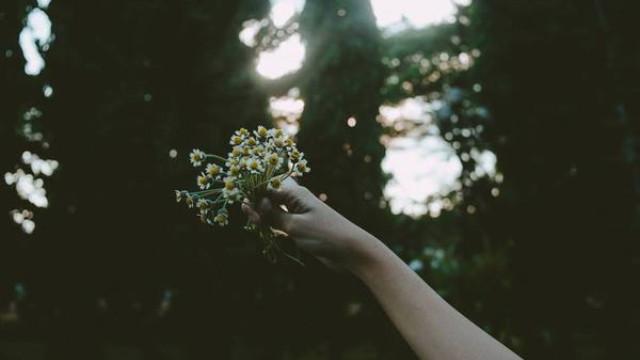 Tử vi thứ Ba ngày 10/11/2020 của 12 cung hoàng đạo: Bạch Dương tình yêu như ý, Song Tử vướng thị phi-1