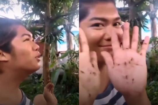 Cô gái có biệt tài 'gọi muỗi', chỉ hú vài tiếng rồi giơ tay đập cũng hàng chục con