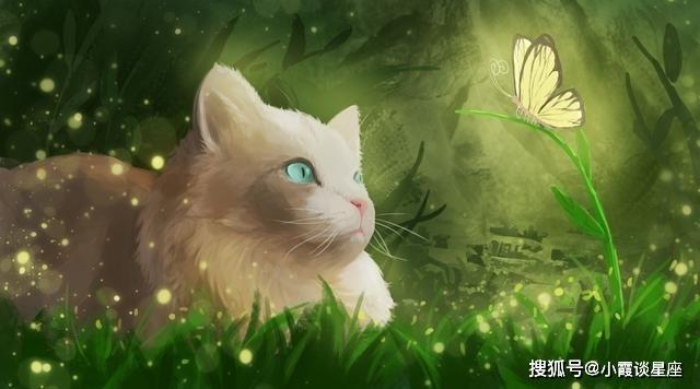 Top 3 cung hoàng đạo đa nhân cách, lạnh lùng với người lạ, hào phóng với người quen-2