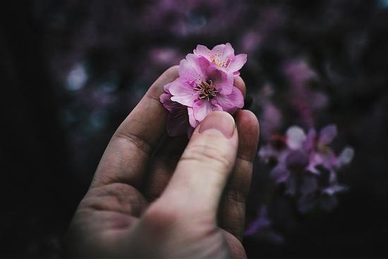 Tử vi thứ 5 ngày 12/11/2020 của 12 con giáp: Thìn tình yêu rực rỡ, Thân công việc sa sút