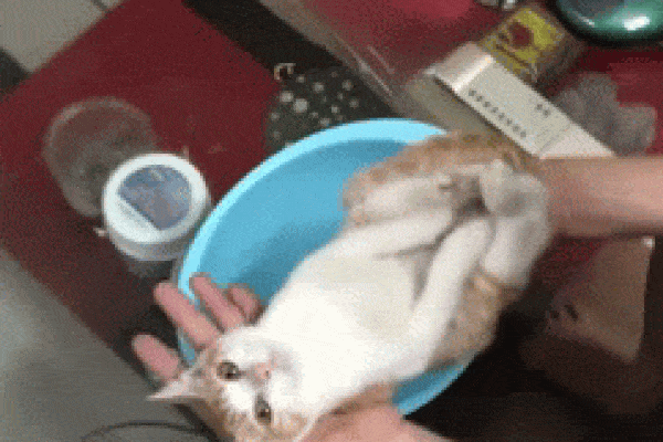 Clip: Xem ông nội hướng dẫn tắm cho cháu, ai cũng phì cười vì 'diễn viên đóng thế'