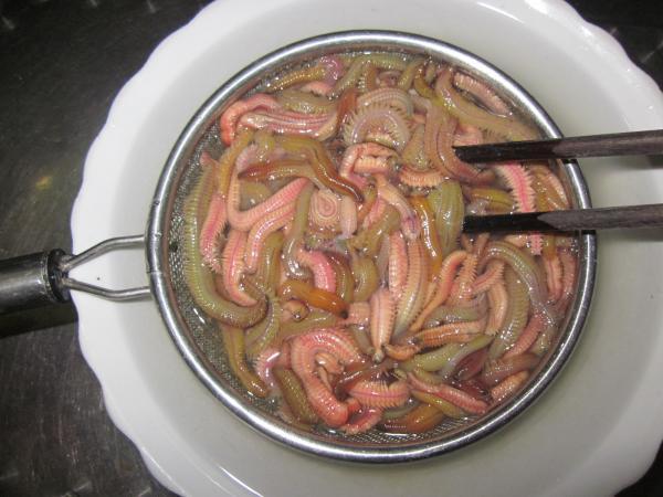 Lúc sống ngọ nguậy sởn da gà, rán lên thơm ngon nức mũi, ăn rồi muốn ăn thêm-5