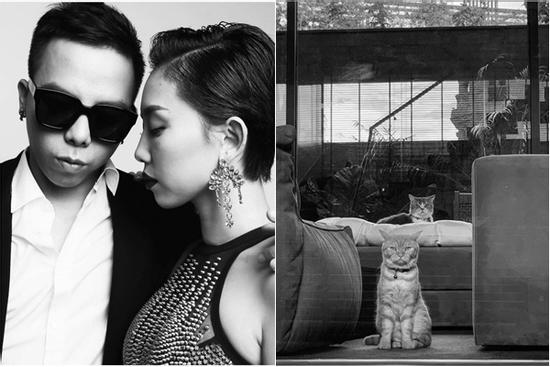 Chỉ lỡ tay đăng ảnh mèo, Hoàng Touliver bị hỏi tội: 'Chụp mèo sao đẹp hơn vợ?'