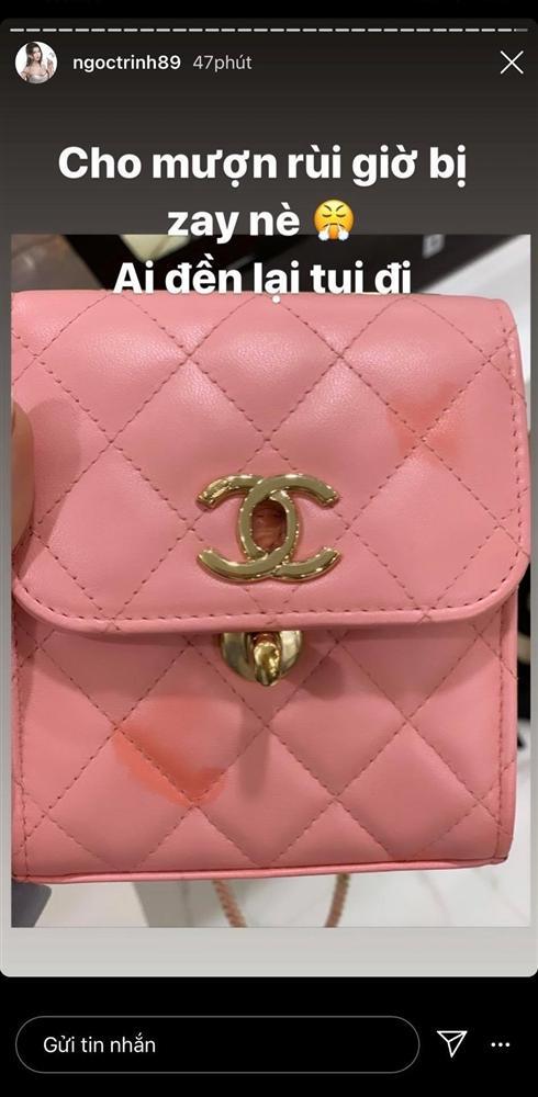 Ngọc Trinh - Linh Ka hư hàng hiệu vì lí do khó ngờ: khi thì cho mượn, lúc lại bị cún cưng phá-3