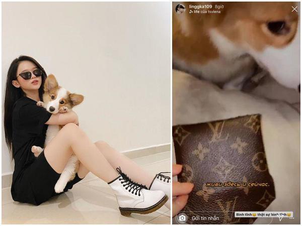 Ngọc Trinh - Linh Ka hư hàng hiệu vì lí do khó ngờ: khi thì cho mượn, lúc lại bị cún cưng phá-6
