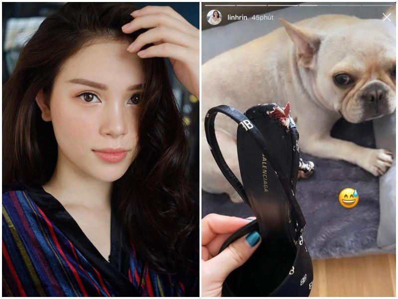 Ngọc Trinh - Linh Ka hư hàng hiệu vì lí do khó ngờ: khi thì cho mượn, lúc lại bị cún cưng phá-7