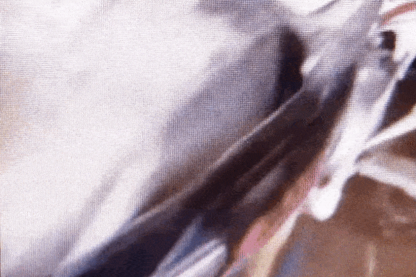 Clip: Tài xế thất kinh khi thấy rắn khổng lồ đột nhiên bò trên kính xe ô tô-1