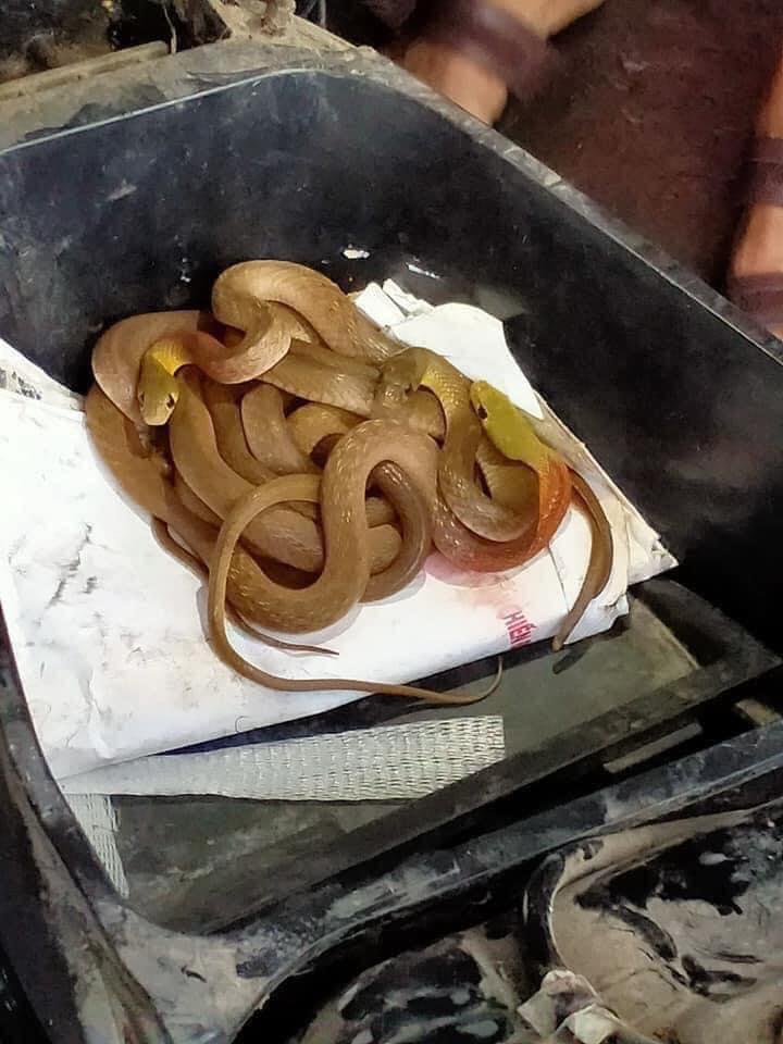 Mang xe đi sửa, cô gái ở Quảng Trị chết khiếp khi thấy cả họ bé na tránh lũ bên trong-3