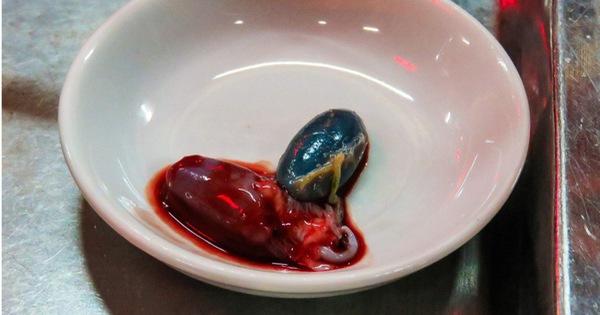 Ở Việt Nam có mấy món ăn tươi nuốt sống, đến ta còn khiếp đảm nói gì khách tây-4