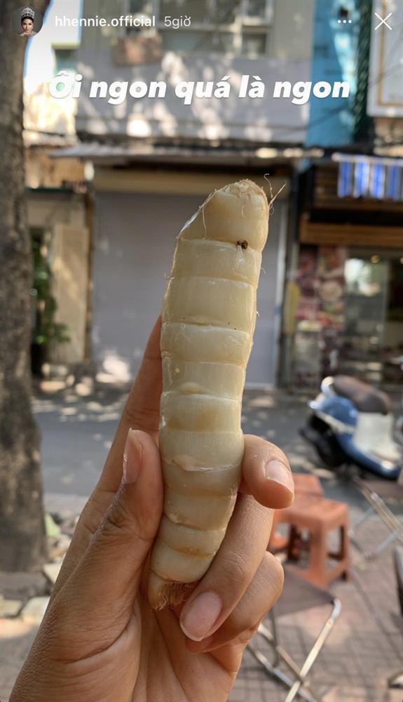 HHen Niê khoe đi Hà Nội xịn: mê mẩn loại củ đặc biệt, không ngại xin quả ở cây ven đường-2