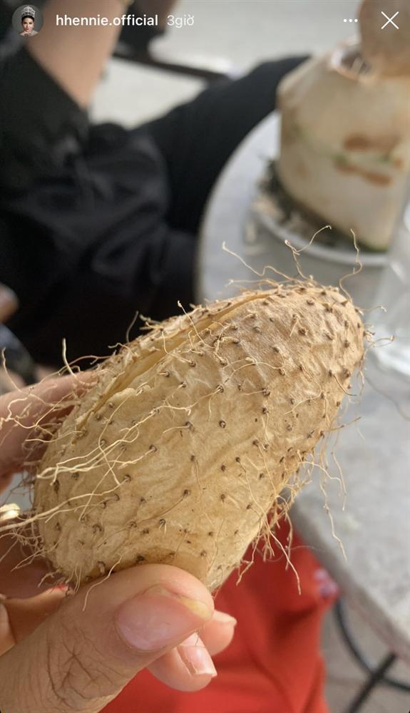 HHen Niê khoe đi Hà Nội xịn: mê mẩn loại củ đặc biệt, không ngại xin quả ở cây ven đường-3
