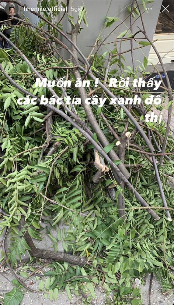 HHen Niê khoe đi Hà Nội xịn: mê mẩn loại củ đặc biệt, không ngại xin quả ở cây ven đường-4