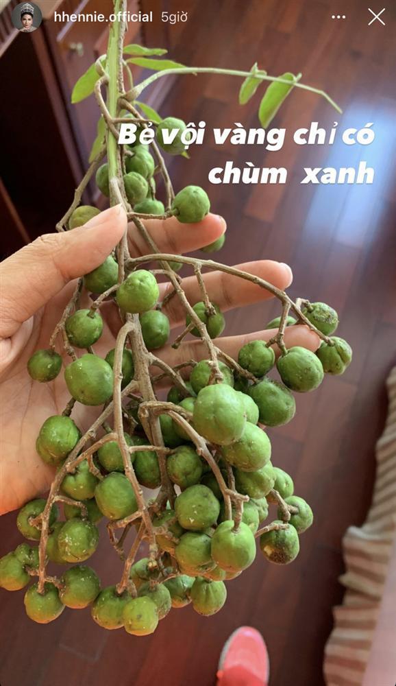 HHen Niê khoe đi Hà Nội xịn: mê mẩn loại củ đặc biệt, không ngại xin quả ở cây ven đường-5