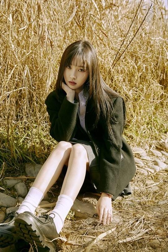 Tử vi Chủ Nhật 15/11 của 12 con giáp: Ngọ nhớ nhung tình cũ, Hợi phung phí sức khỏe-3