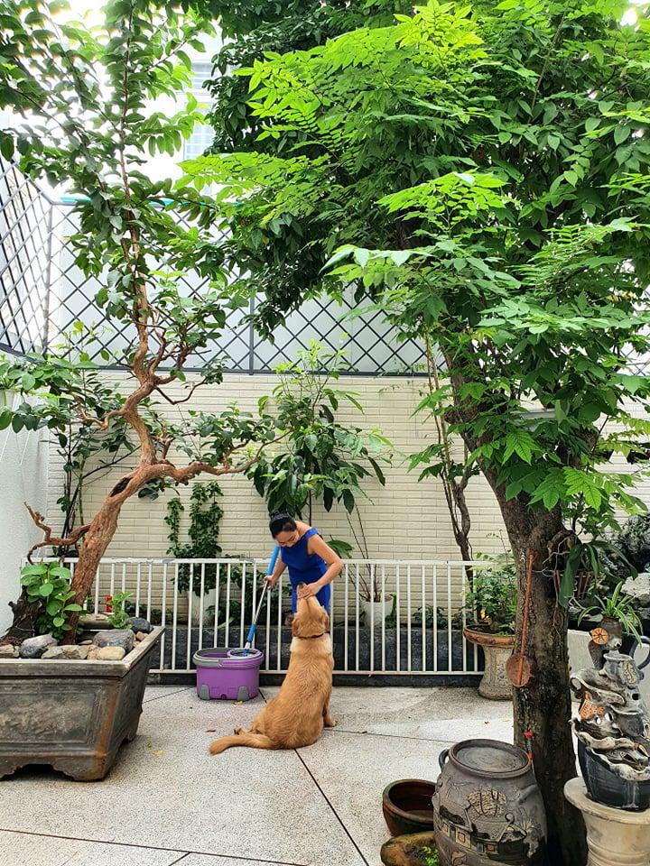 Hơi thở của mẹ trong khu vườn góc nào cũng bình yên của gái 8X Nha Trang-7