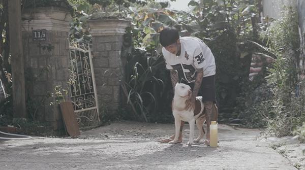 Xem Dế Choắt làm clip chơi với 3 con cún, thấy anh này cái mặt xăm trổ vậy chứ hiền khô à!-3