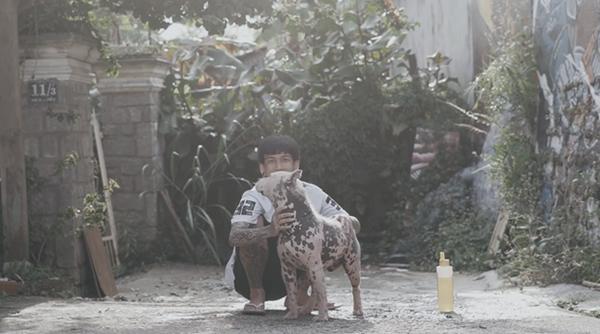 Xem Dế Choắt làm clip chơi với 3 con cún, thấy anh này cái mặt xăm trổ vậy chứ hiền khô à!-4