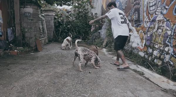 Xem Dế Choắt làm clip chơi với 3 con cún, thấy anh này cái mặt xăm trổ vậy chứ hiền khô à!-6