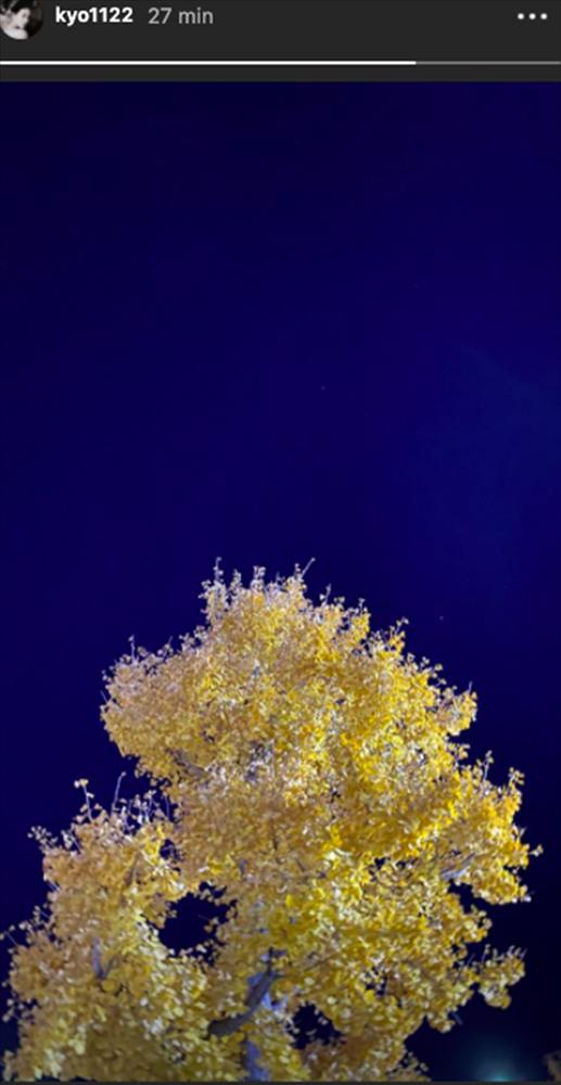 Phản ứng bất ngờ của Song Hye Kyo ngay sau khi có thông tin Hyun Bin hẹn hò người mới-1