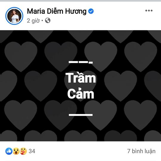 Hoa hậu Diễm Hương treo status trầm cảm lúc nửa đêm-2