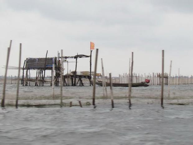 Phát hiện thi thể nam thanh niên trên phá Tam Giang-1