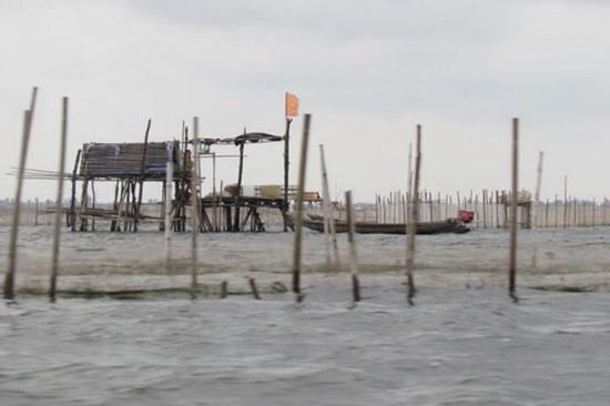 Phát hiện thi thể nam thanh niên trên phá Tam Giang