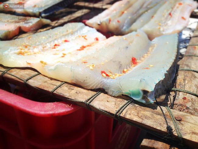 Đảo Nam Du có món cá lạ có xương màu xanh lá cây khiến cộng đồng mạng xôn xao-7