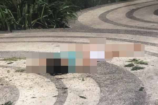 TP HCM: Vừa chuyển tới chung cư, cụ bà 78 tuổi rơi từ tầng cao xuống đất tử vong thương tâm-3