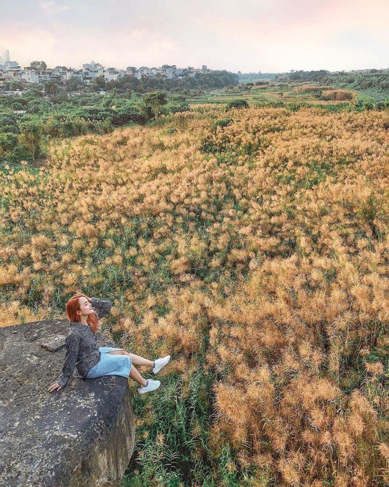 Lạc vào đồng cỏ lau dưới chân cầu Long Biên, cứ bấm máy là có ảnh siêu đẹp-5
