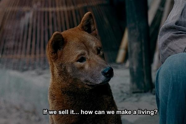 Vợ chồng Tăng Thanh Hà cùng gia đình đại náo thảm đỏ ra mắt phim Cậu Vàng-21