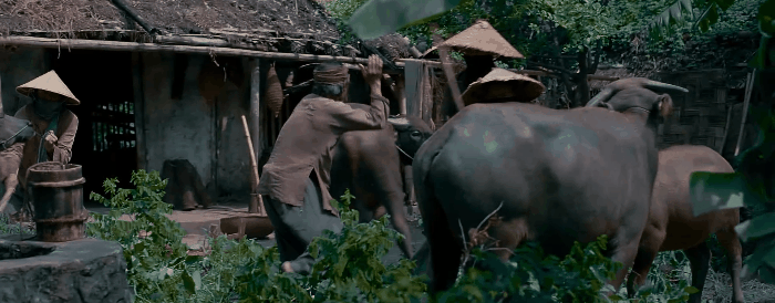 Cậu Vàng Shiba lấy lại thiện cảm khi khoe tài diễn xuất-3