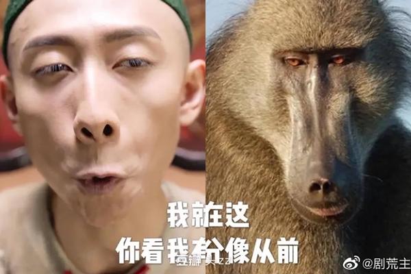 Bảy nàng vợ của Vi Tiểu Bảo trong ‘Lộc đỉnh ký 2020’ là ai?-11