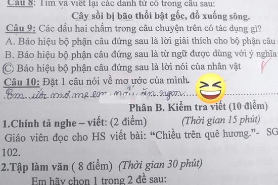 Cô giáo ra đề 'Ước mơ của em là gì?', học sinh lớp 4 trả lời khiến mẹ 'ngượng chín mặt'