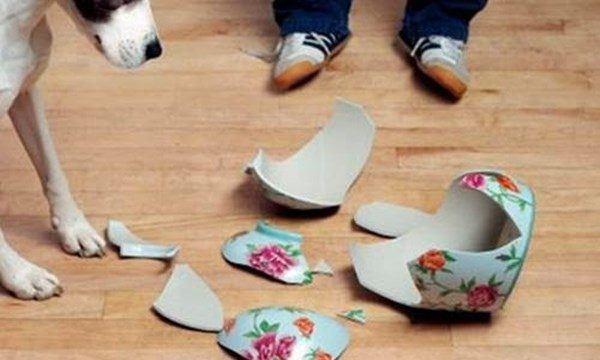 Sáng ra nhà có những dấu hiệu này phải cẩn thận, đừng chủ quan-2